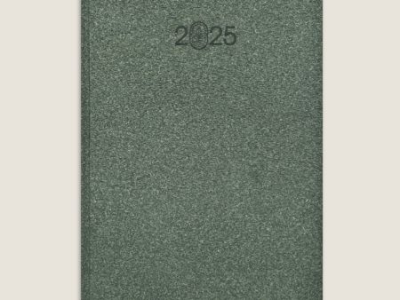 Scholar Eco 2025 A5 Daily Planner – Green For Discount