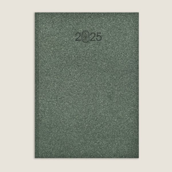 Scholar Eco 2025 A5 Daily Planner – Green For Discount