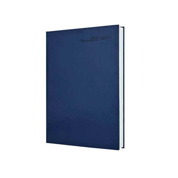 Scholar Jade 2025 B5 Daily Planner – Blue Online