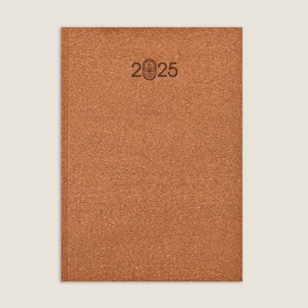 Scholar Eco 2025 B5 Daily Planner – Brown Supply