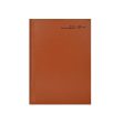 Scholar Jade 2025 A5 Daily Planner – Tan Discount